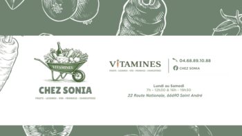 Logo Vitamines chez Sonia